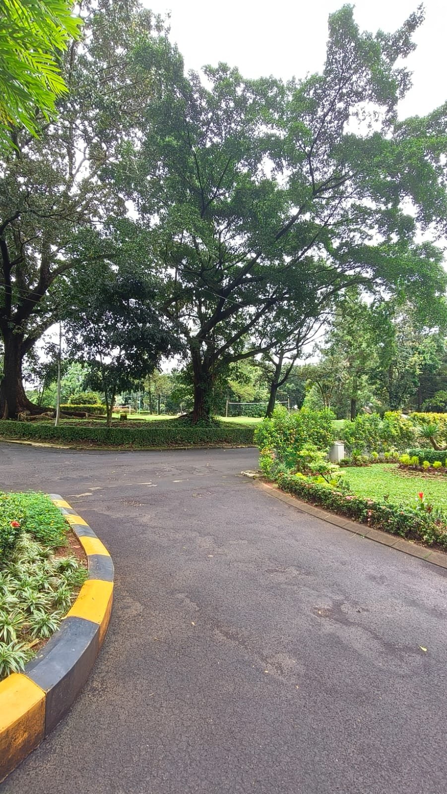 Green Jogging Trail - Jalur Joging Hijau di Kawasan Country Woods